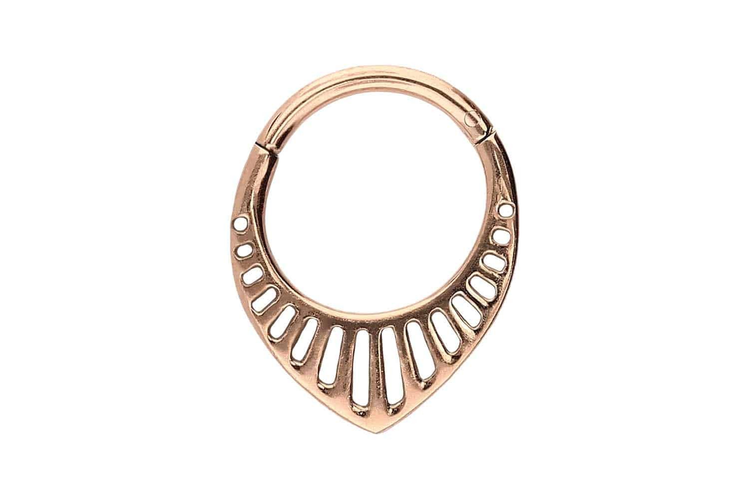 Nasenpiercing Chirurgenstahl Segmentring Clicker DESIGN Ohrpiercing Septum Nase