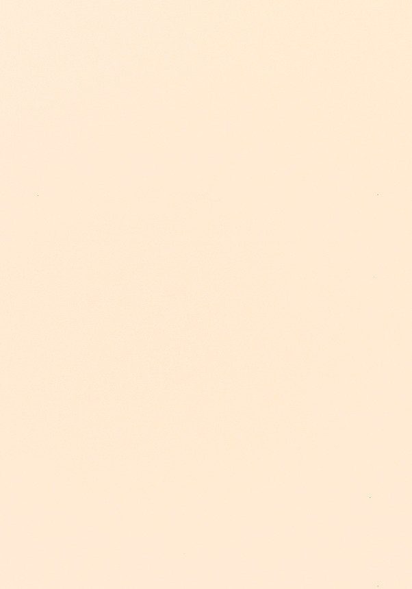 Verdunklungsrollo DKL SK06/MK06/CK02/FK06/MK04/CK04 1085S, VELUX, verdunkel günstig online kaufen