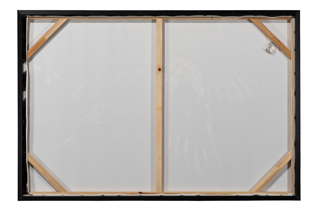 ArtUniverse Gemälde Leinwandbild Weißer Mohn mit Gold 120x80 cm, Naturmotiv