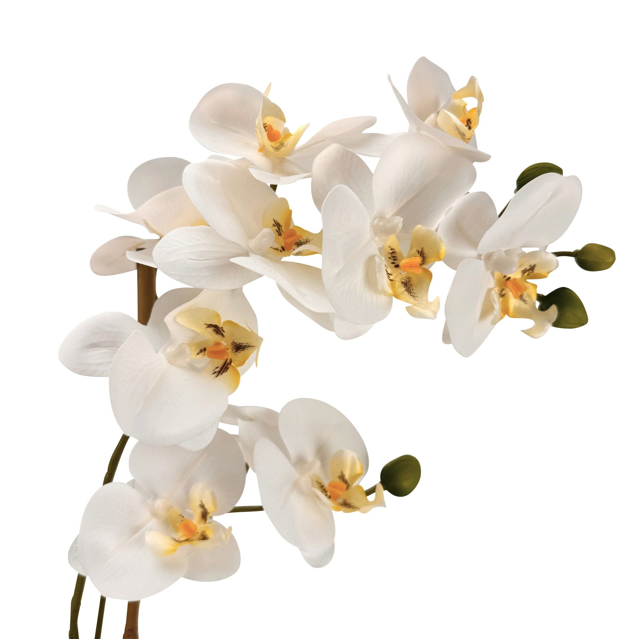 Kunstblume Künstliche Blumen, Pflanzen mit silbernen Topf - wie echt, real günstig online kaufen