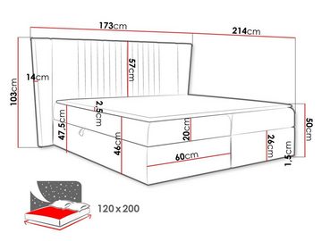 MIRJAN24 Boxspringbett Spark (mit Hauptmatratze, Topper, Kopfteil), 120, 140, 160, 180, 200 / 200 cm, mit zwei Bettkästen