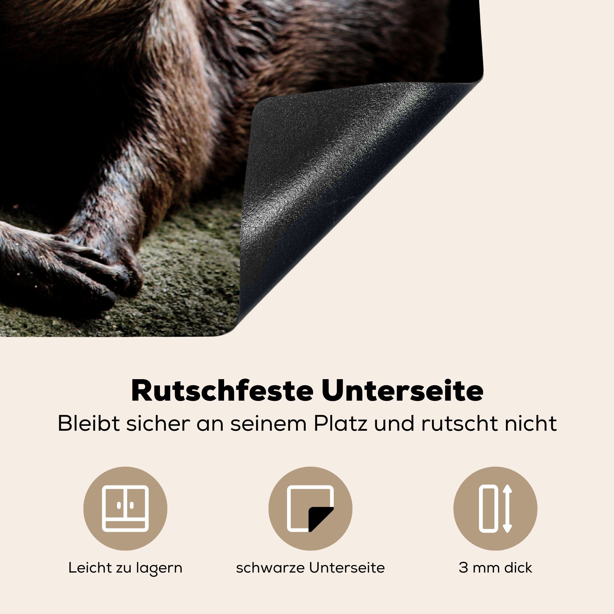 Ceranfeldabdeckung sich Arbeitsfläche halten MuchoWow cm, Otter tlg), nutzbar, (1 Vinyl, Herdblende-/Abdeckplatte Mobile gegenseitig, 70x52