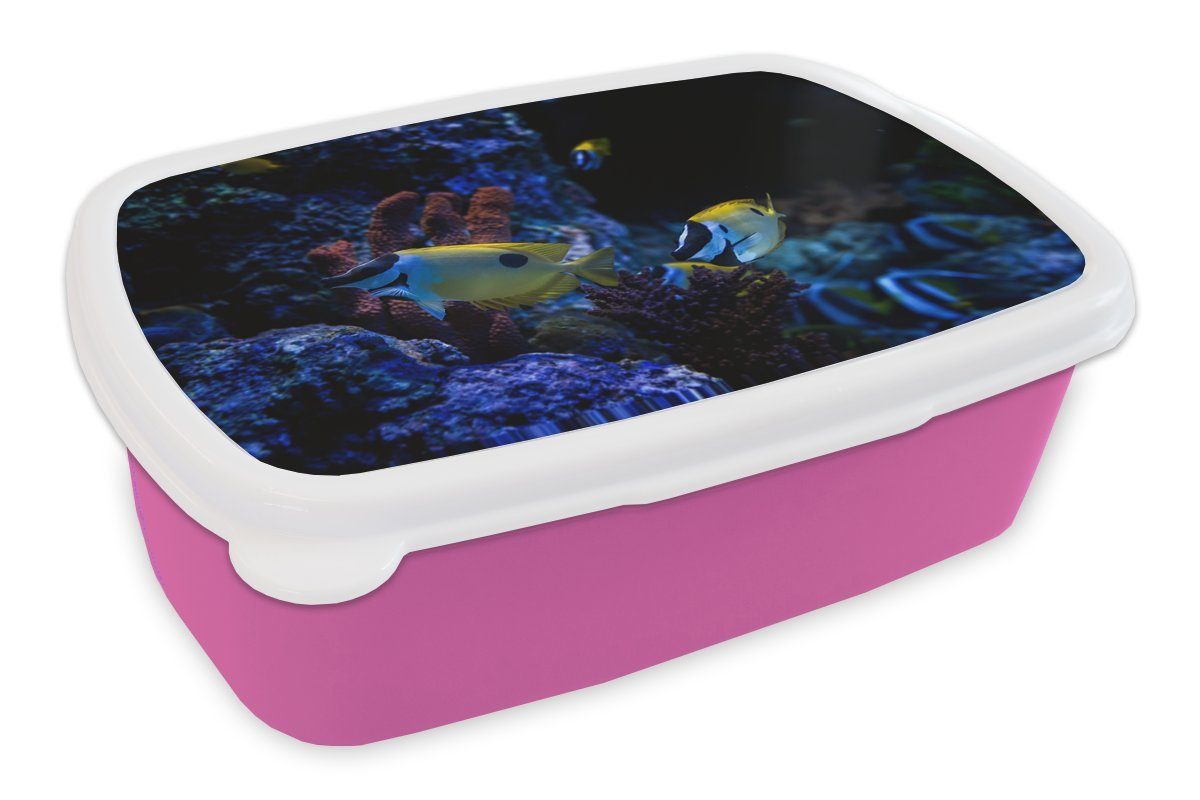 MuchoWow Lunchbox rosa Erwachsene, Kunststoff Brotdose für Brotbox in (2-tlg), Aquarienfische in Snackbox, Kinder, einem Kunststoff, Aquarium Singapur., Mädchen