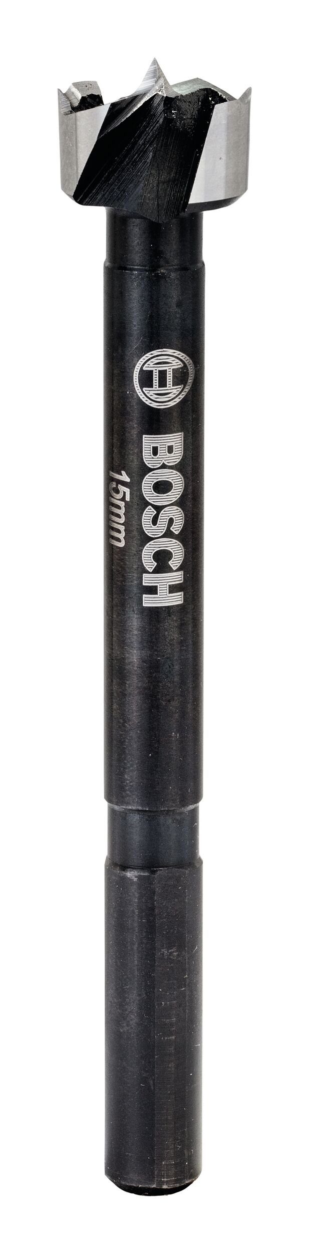 Holzbohrer
