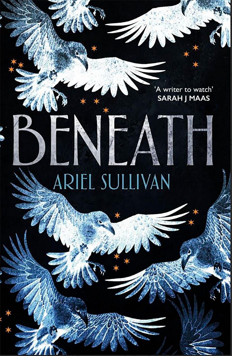 Beneath / Ariel Sullivan