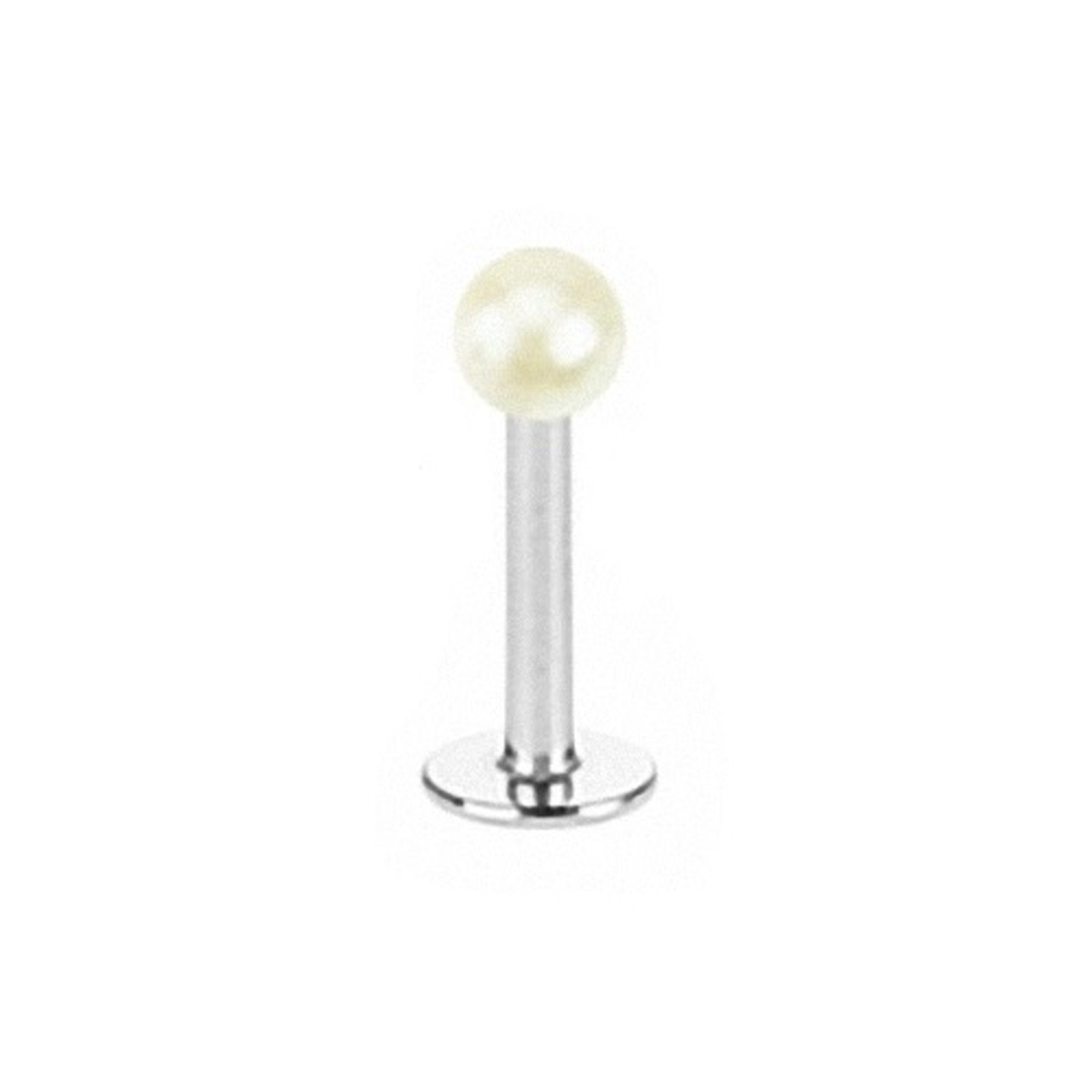 Taffstyle Piercing-Set Piercing Labret Stecker Lippenstecker günstig online kaufen