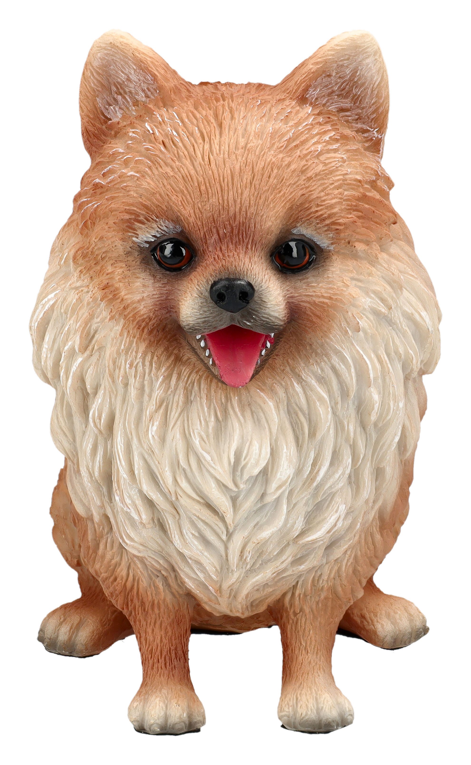 Tierfigur Zwergspitz Deko – Pomeranian Welpen Figur Handbemalt 14,5 cm Dekofigur