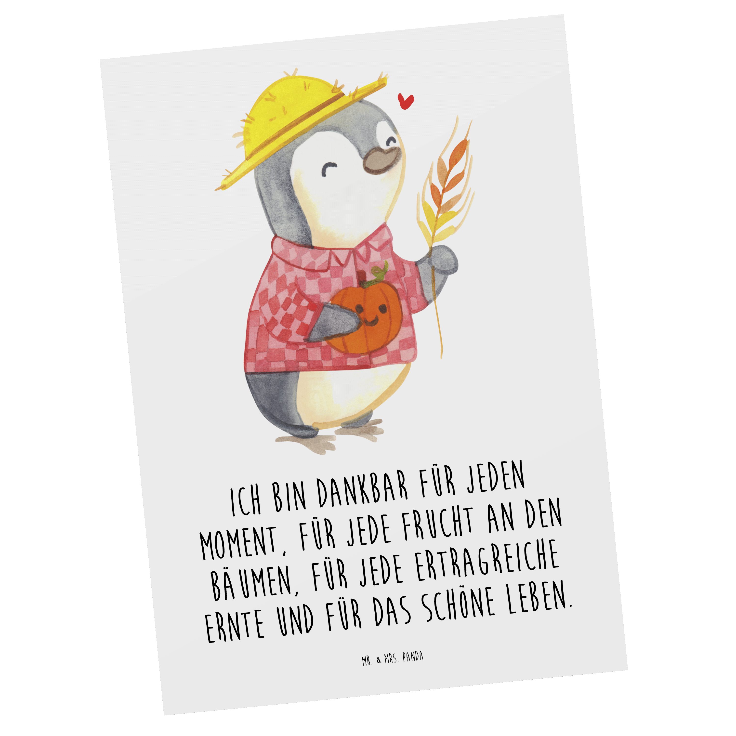 Mr. & Mrs. Panda Postkarte Erntedankfest Pinguin - Weiß - Geschenk, Erntedank Sprüche, Erntedank