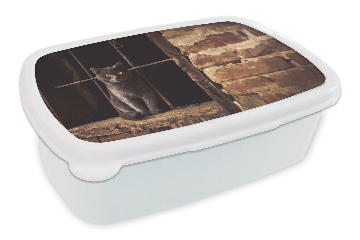 MuchoWow Lunchbox Katze - Ziegel - Mauer, Kunststoff, (2-tlg), Brotbox für Kinder und Erwachsene, Brotdose, für Jungs und Mädchen weiß | Lunchboxen