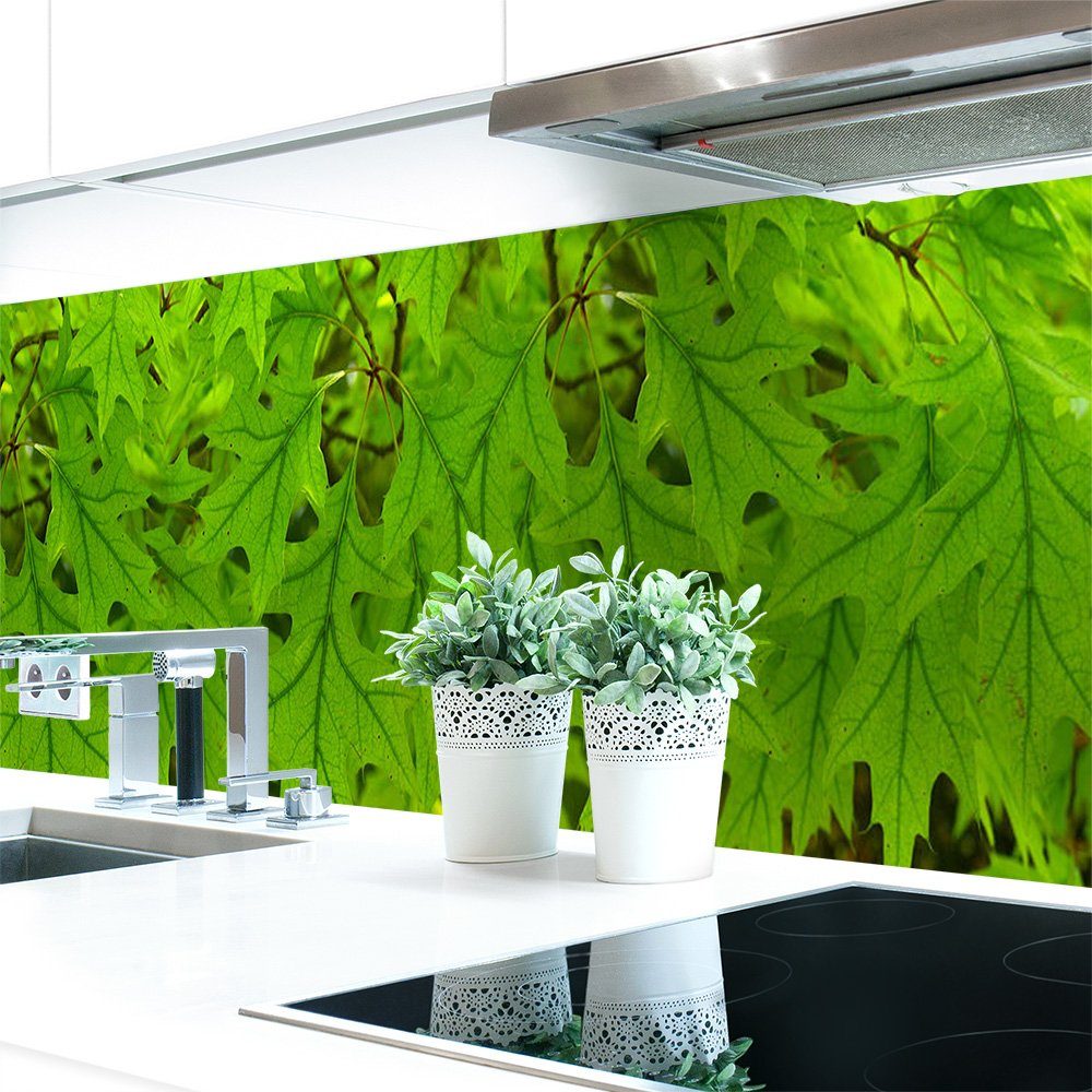 DRUCK-EXPERT Küchenrückwand Küchenrückwand Blätter Premium Hart-PVC 0,4 mm selbstklebend | Küchenrückwände