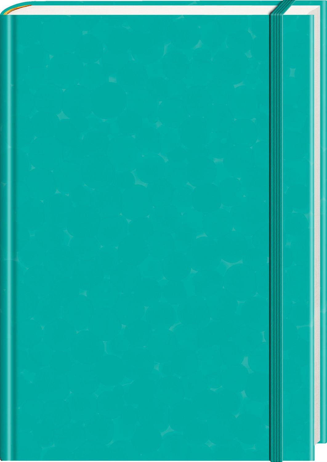 Anaconda Tagebuch Anaconda Notizbuch/Notebook/Blank Book, punktiert, textiles Gummiband