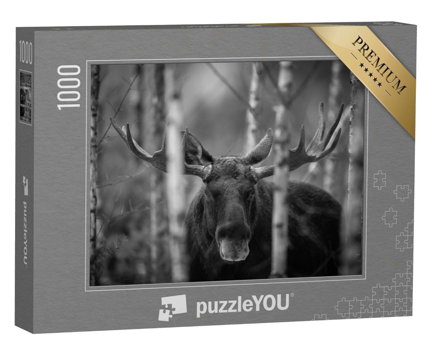 puzzleYOU Puzzle Porträt von Elch, Nordamerika, 1000 Puzzleteile, puzzleYOU-Kollektionen Elche, Tiere in Wald & Gebirge
