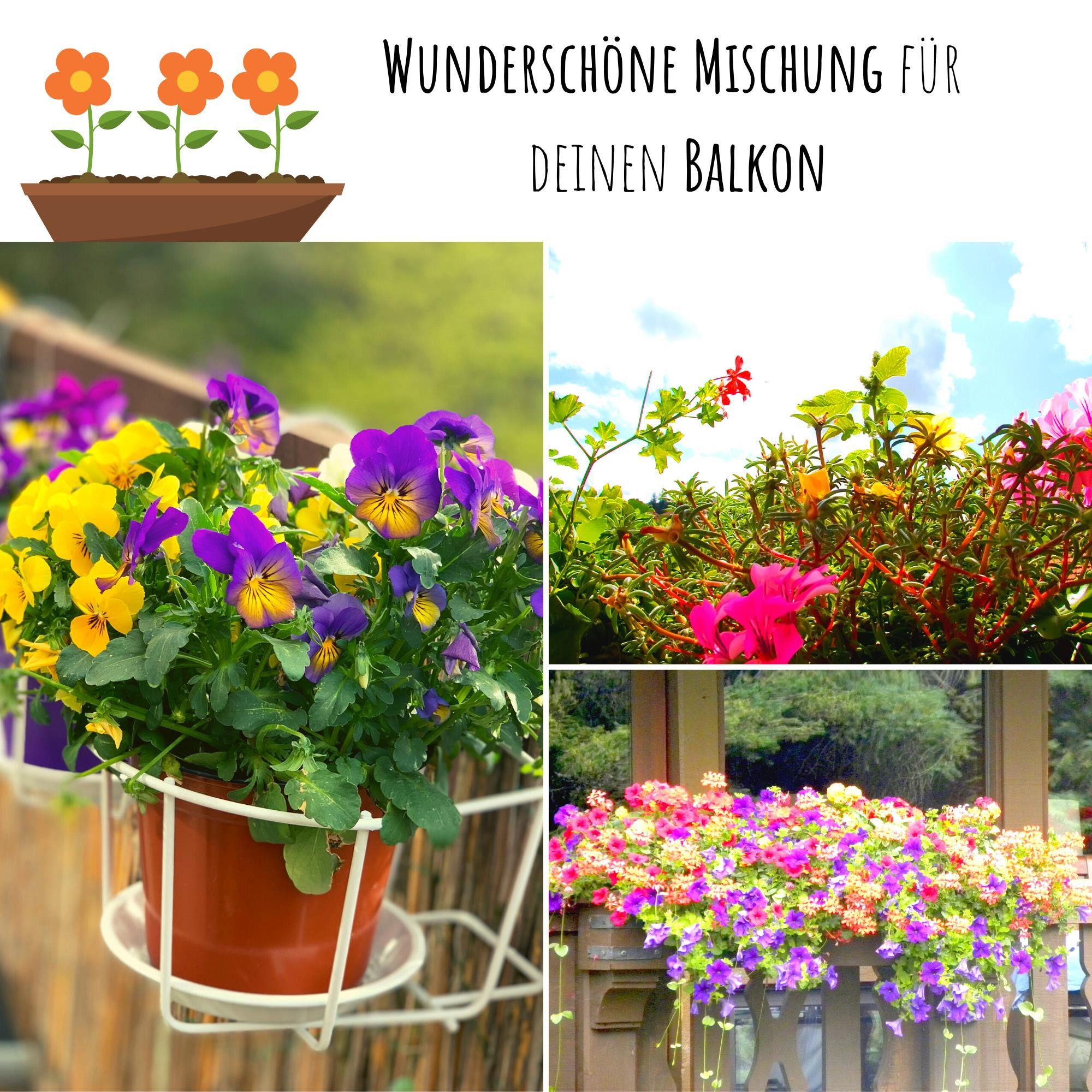HappySeed Blumensamen Blumensamen Balkonkasten Mischung - Farbenfroher Blumen Mix, Blumen