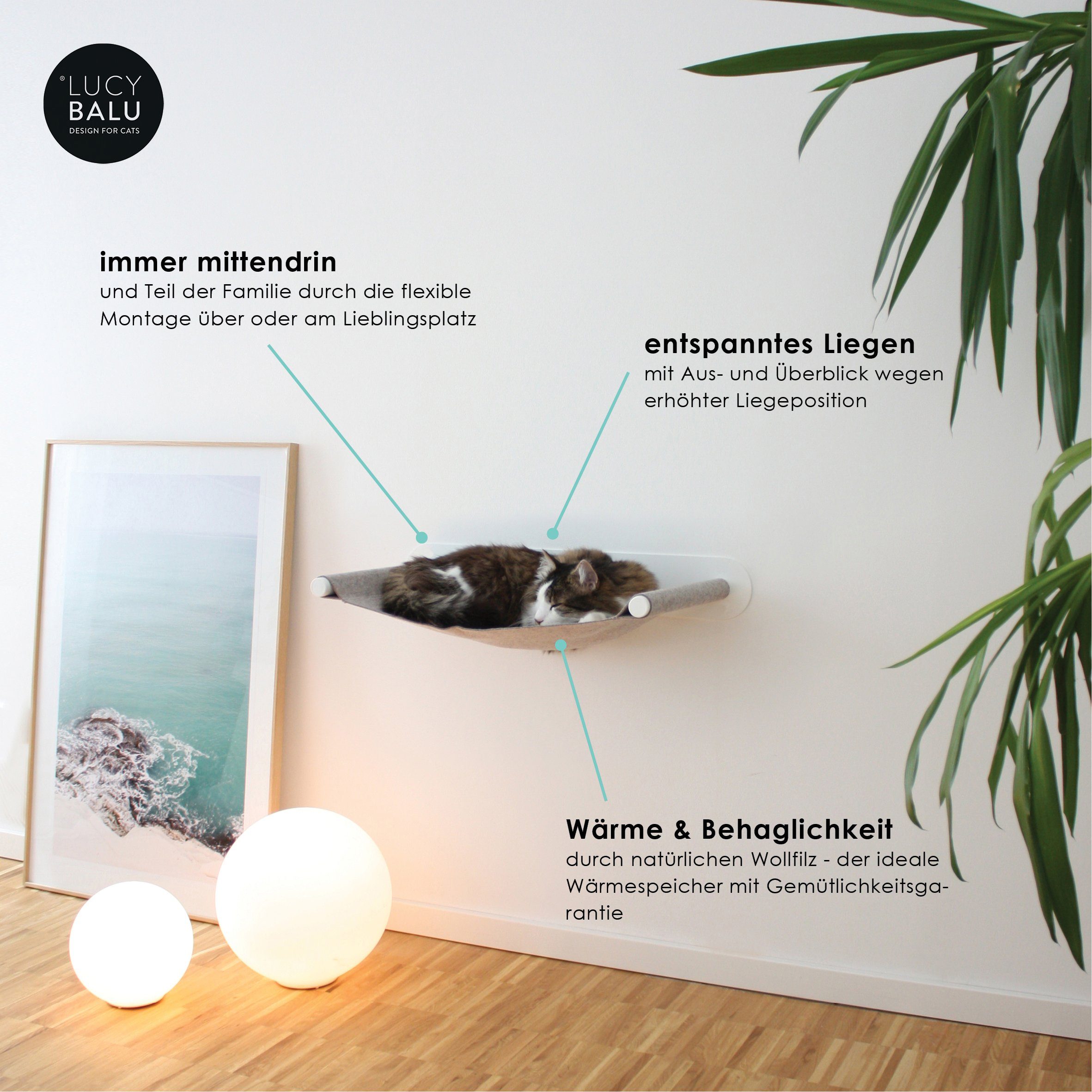 LucyBalu Katzen-Hängematte SWING Katzenhängematte aus Filz günstig online kaufen