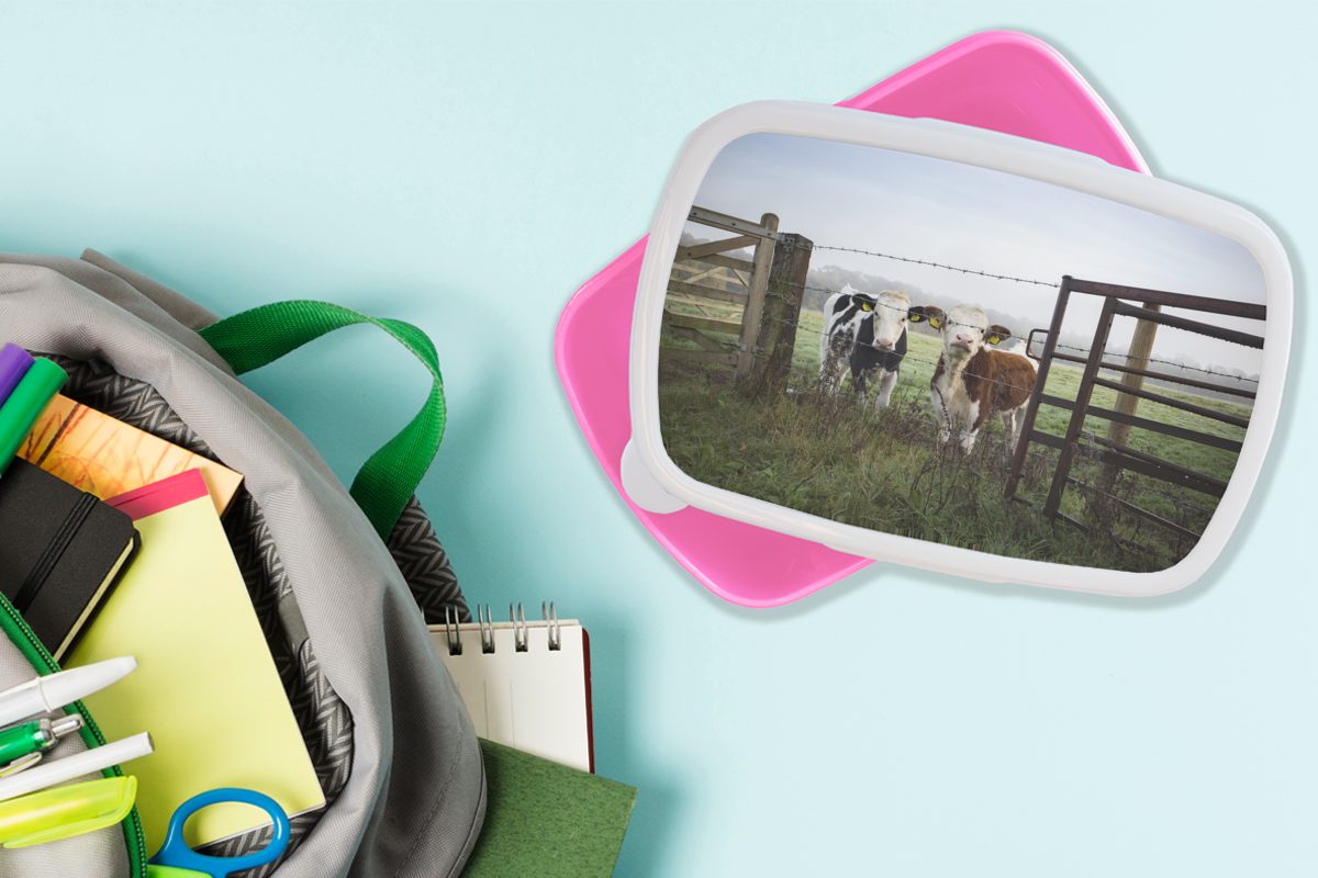 (2-tlg), Erwachsene, Kinder, - Stacheldraht - Lunchbox MuchoWow Tiere, Kunststoff Gras für Mädchen, Brotbox Brotdose - Kuh Snackbox, rosa Kunststoff,
