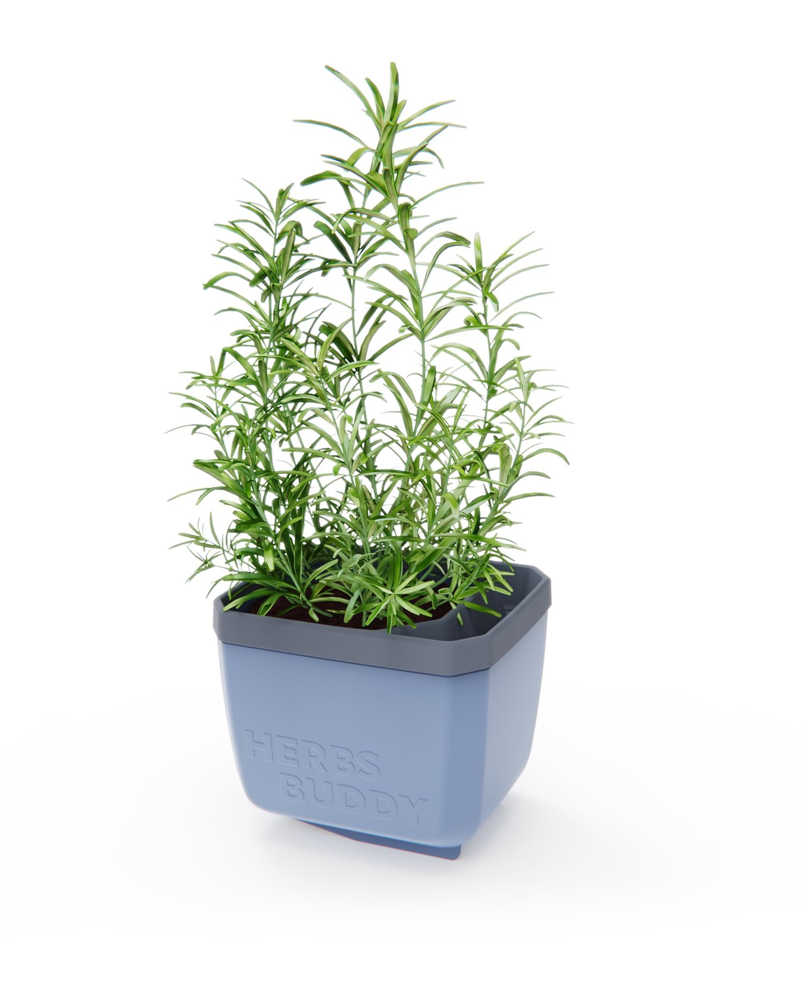Gusta Garden Kräutertopf GUSTA GARDEN Herbs günstig online kaufen