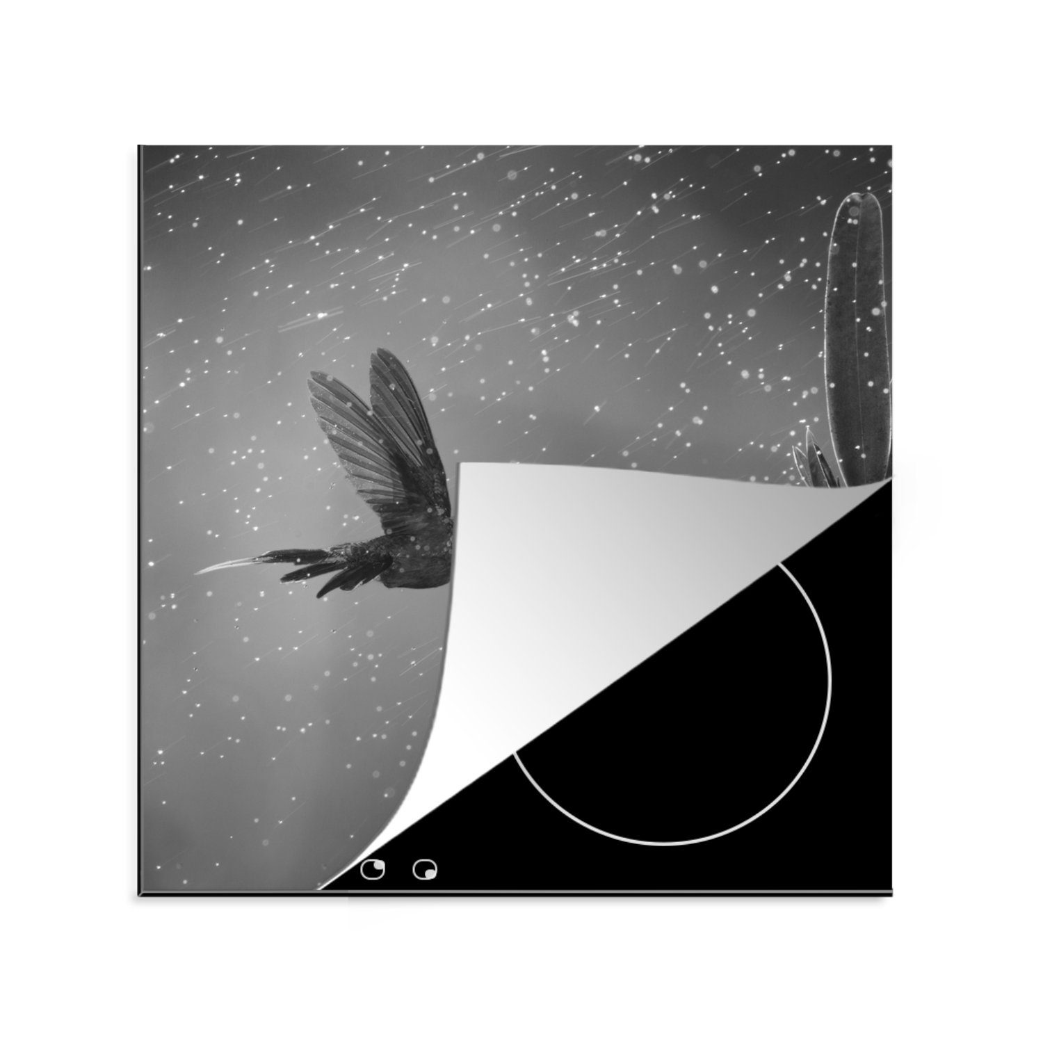 MuchoWow Herdblende-/Abdeckplatte Kolibri im Regen in der Natur von Costa Rica in schwarz und weiß, Vinyl, (1 tlg), 78x78 cm, Ceranfeldabdeckung, Arbeitsplatte für küche