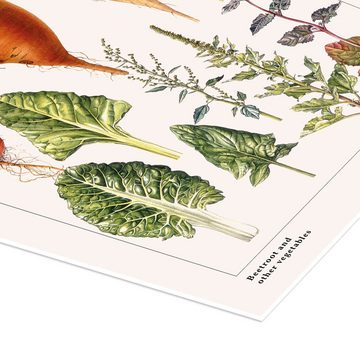 Posterlounge Poster Elizabeth Rice, Rote Beete und anderes Gemüse (englisch), Esszimmer Vintage Illustration