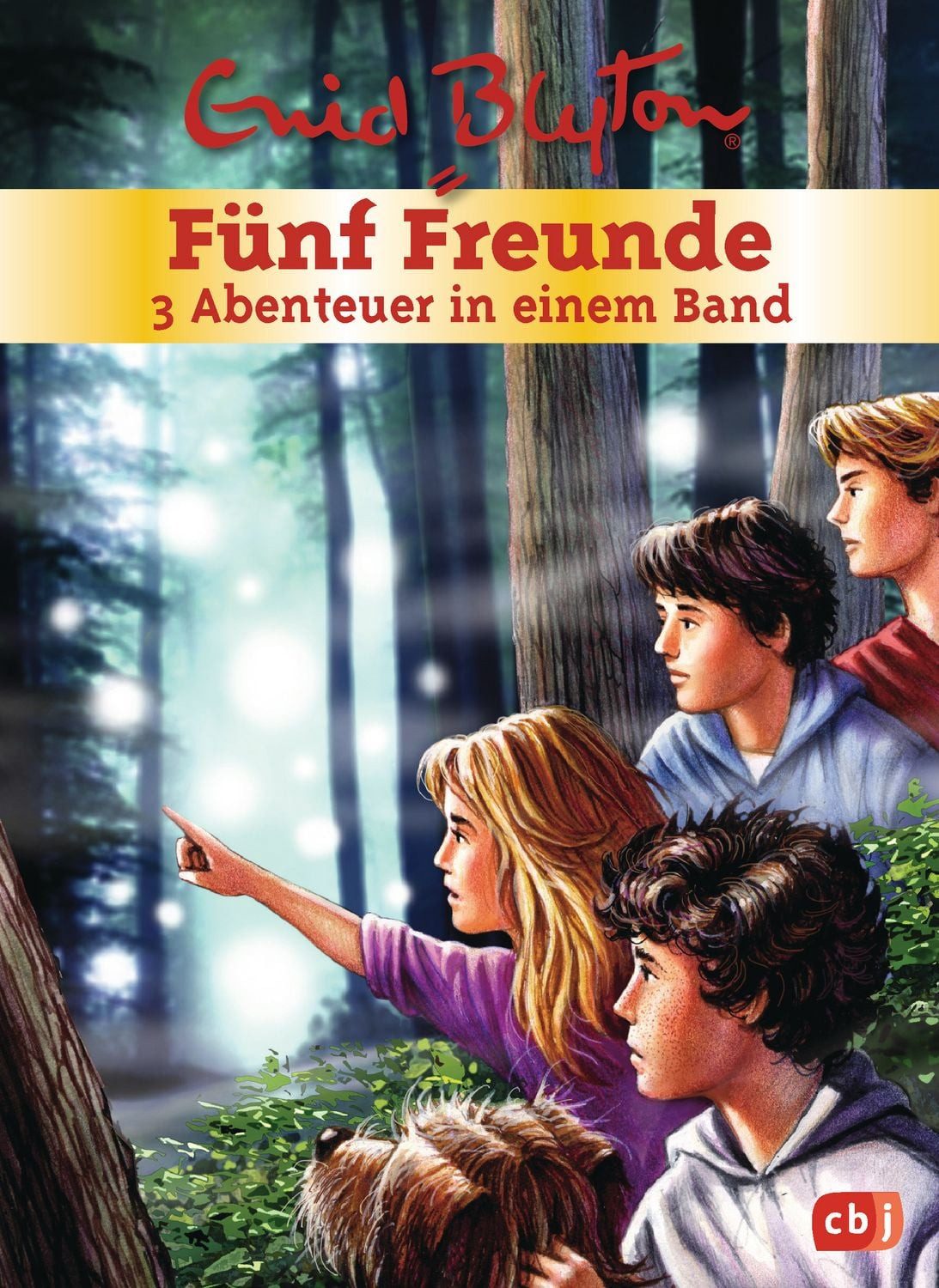 Fünf Freunde - 3 Abenteuer in einem Band / Enid Blyton