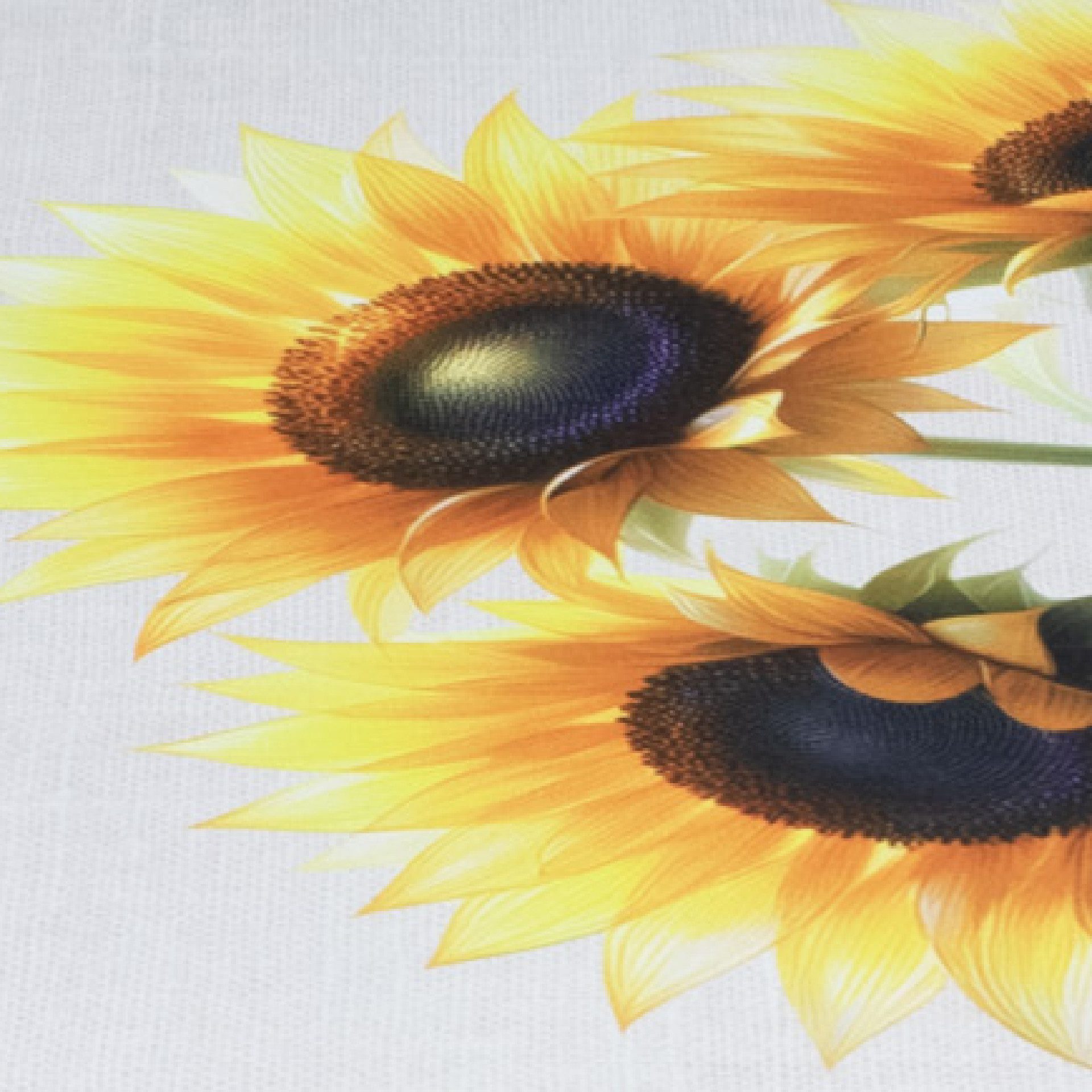 Delindo Lifestyle Tischläufer Sonnenblumen, für Sommer und Herbst, 40x140 cm (1-tlg), Digitaldruck