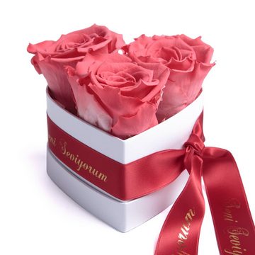Kunstblume Seni Seviyorum Infinity Rosenbox Herz 3 echte Rosen konserviert Rose, ROSEMARIE SCHULZ Heidelberg, Höhe 10 cm, echte Rosen lang haltbar