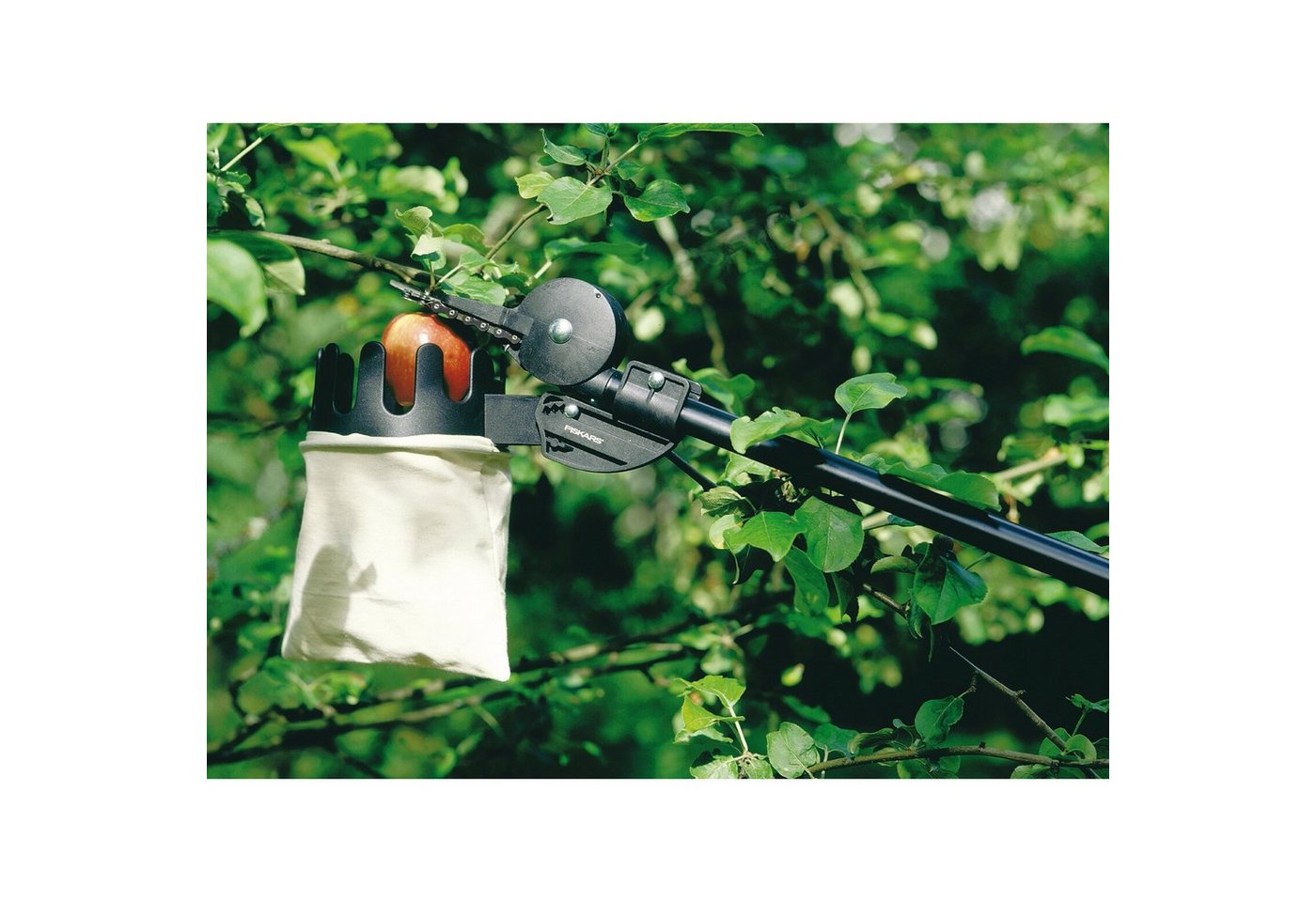 Thumbnail - Fiskars Obstpflücker Fiskars Obstpflücker, (für Schneidgiraffen)