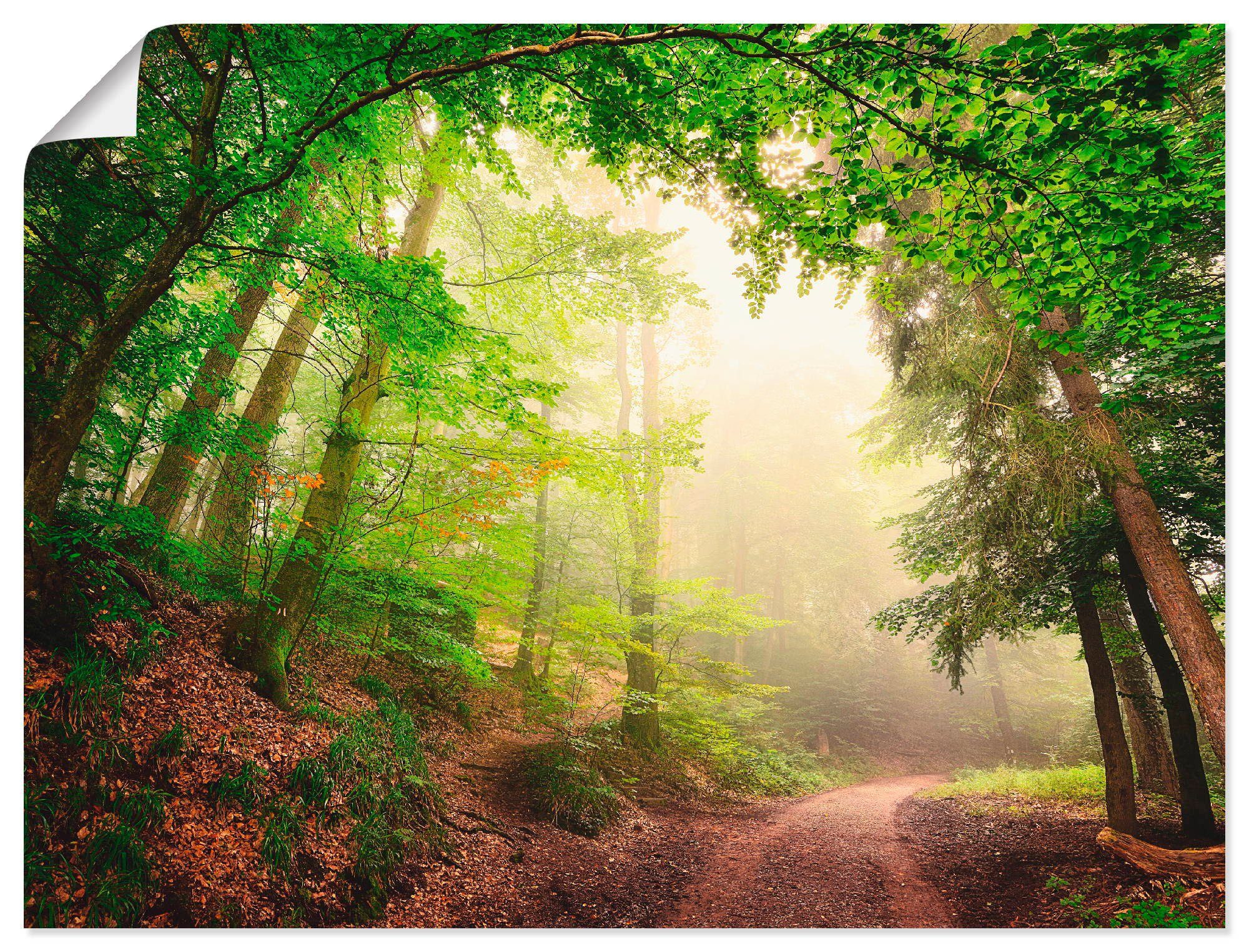 Artland Wandbild Natürliche Torbögen durch Bäume, Wald (1 St), als Alubild, Leinwandbild, Wandaufkleber oder Poster in versch. Größen