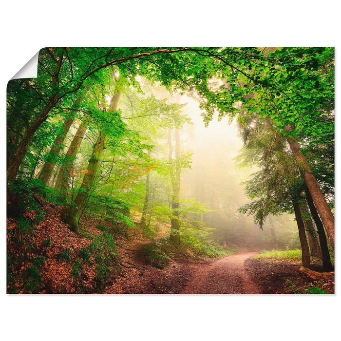 Artland Wandbild Natürliche Torbögen durch Bäume Wald (1 St) als Alubild Leinwandbild Wandaufkleber oder Poster in versch. Größen