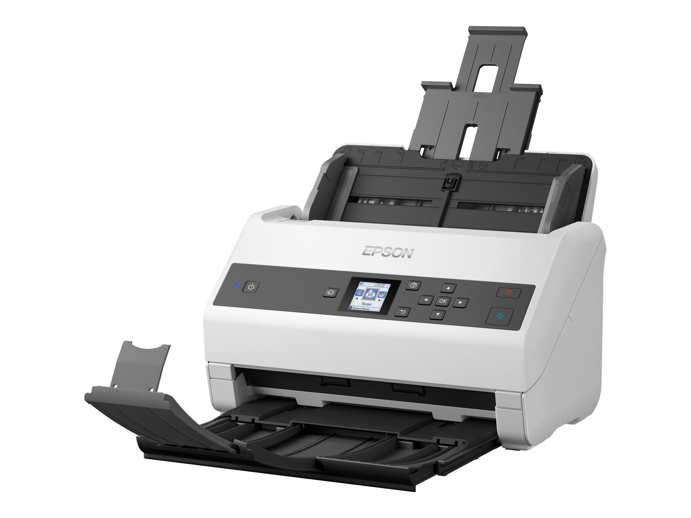 Epson Scanner