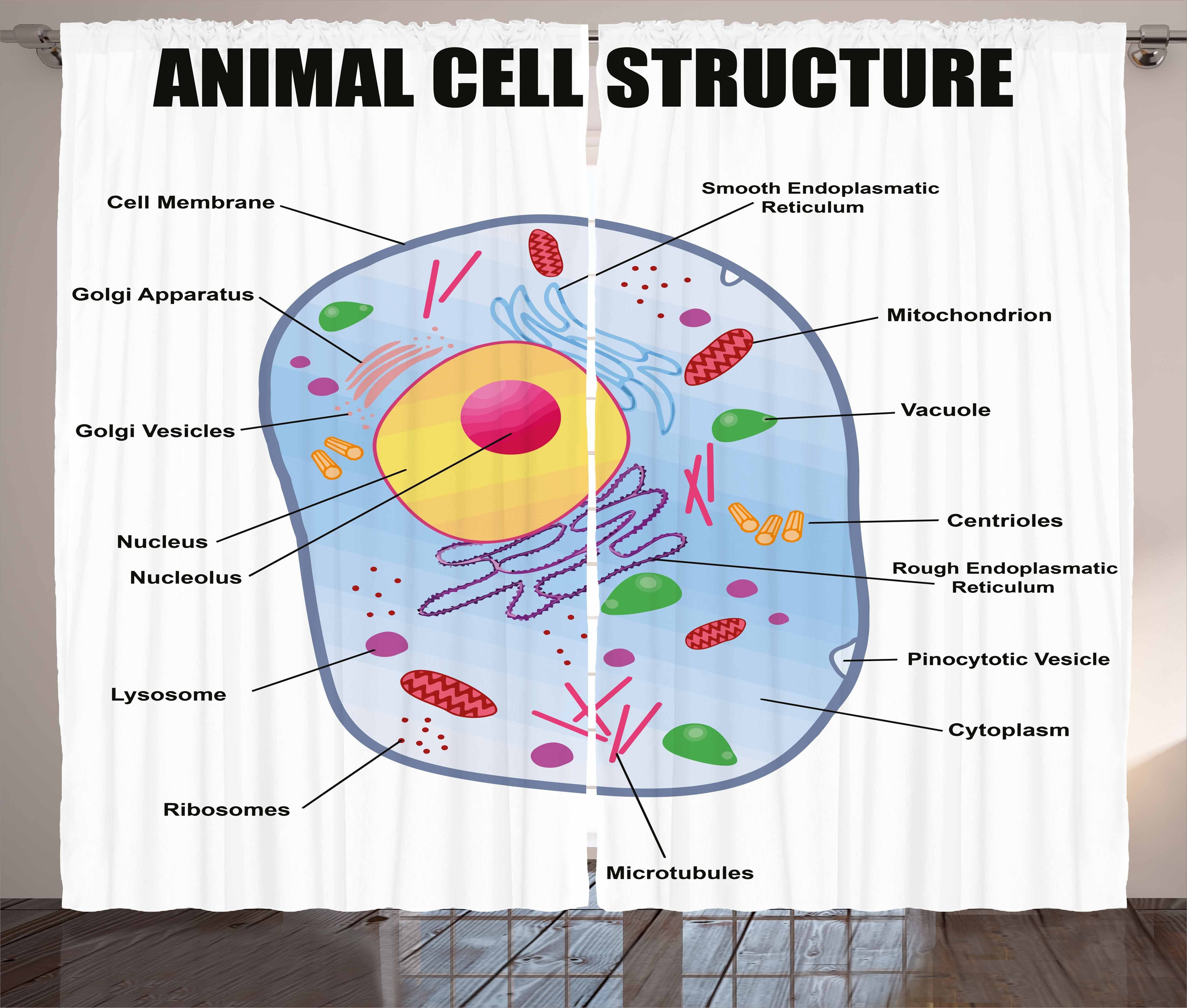 Study Animal Lehrreich Cell Schlafzimmer mit Abakuhaus, und Kräuselband Vorhang Haken, Schlaufen Gardine