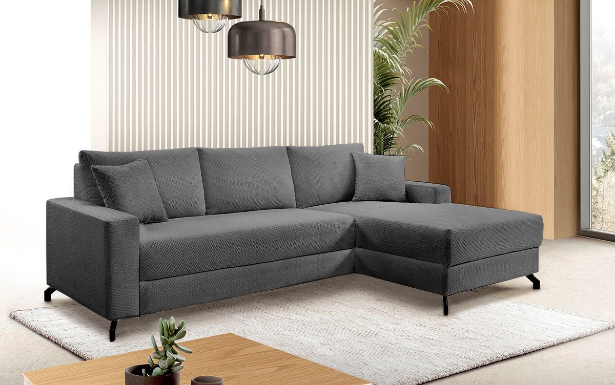 exxpo - sofa fashion Ecksofa Quattro schlicht & zeitlos, bequem, L-Form, B/T: 247/162 cm, wahlw. Bettfunktion. Bettkasten. Bezug komplett Webvelours