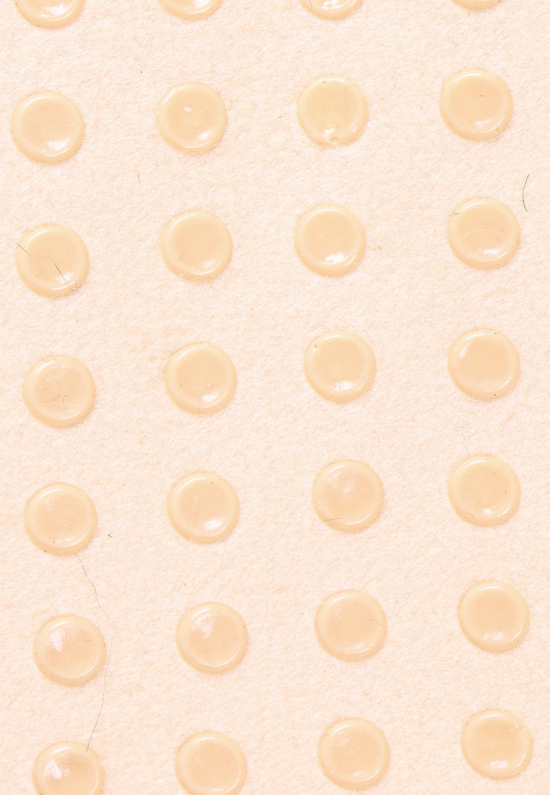 Capelli New York Haussocken (1-Paar) günstig online kaufen