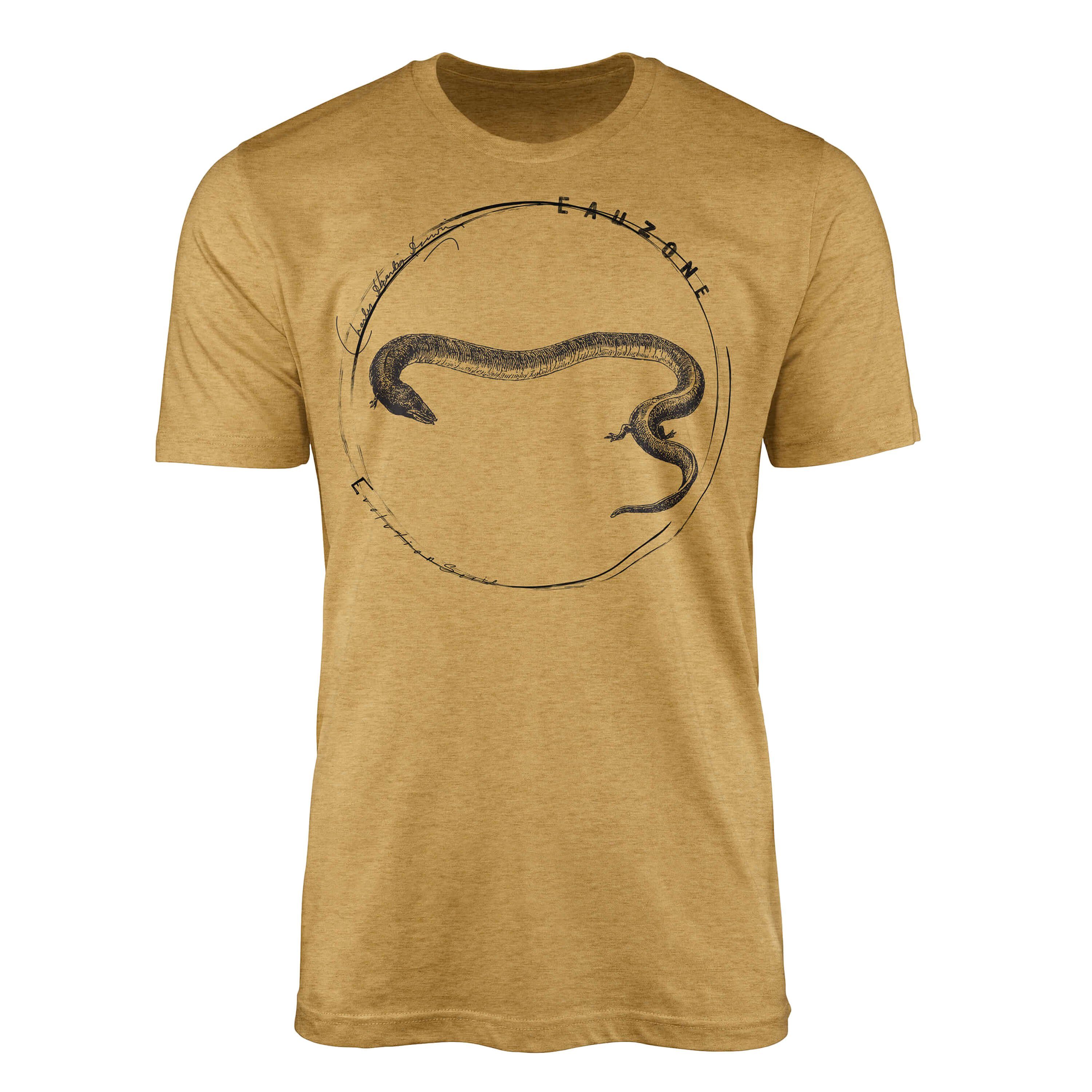 Sinus Art T-Shirt Evolution Herren T-Shirt Amphia Antique Gold