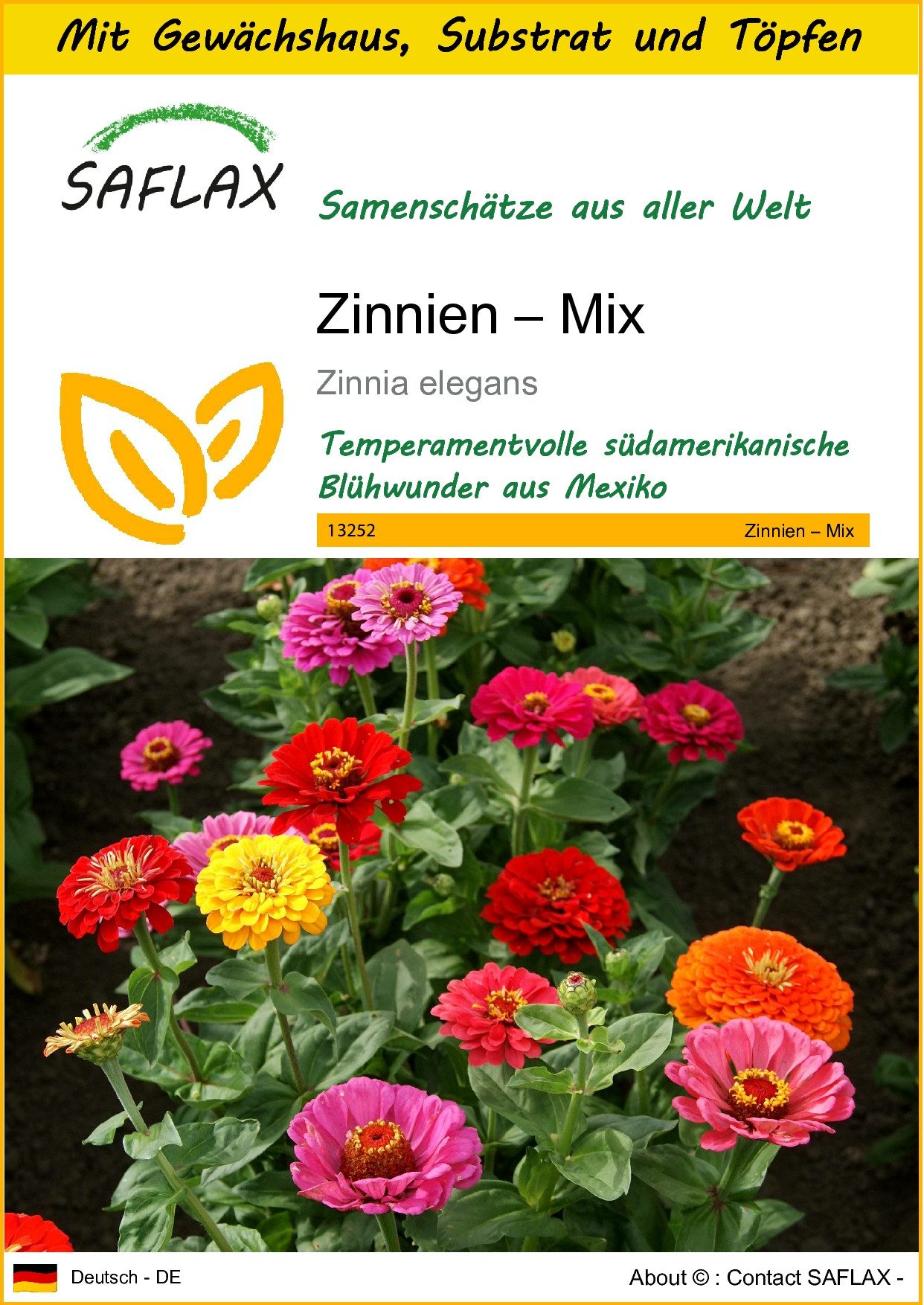 Blumensamen SAFLAX - Anzuchtset - Zinnien – Mix