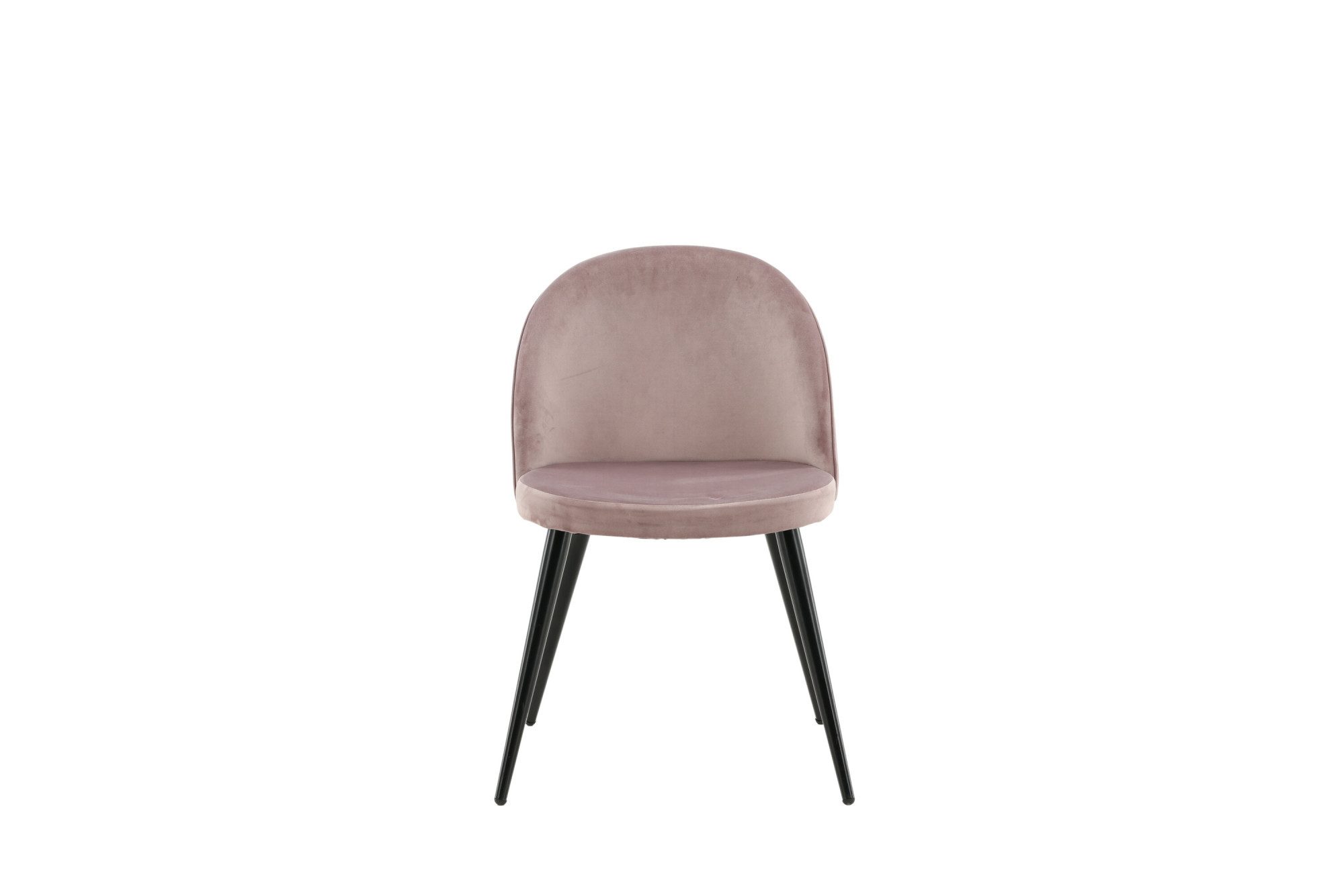 Venture Home Esszimmerstuhl Velvet, 2er-Set Esszimmerstühle mit Samtbezug, 150 kg belastbar (2 St), Polsterstuhl, weicher Bezug, Metallbeine, abgerundet