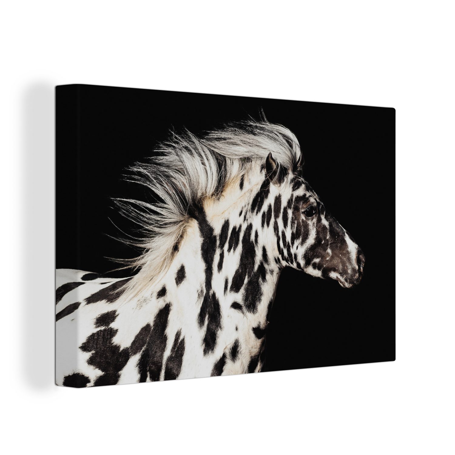 Leinwandbild (1 - Pferd Leinwandbilder, 30x20 Weiß, St), - cm Wandbild Punkte Aufhängefertig, OneMillionCanvasses® Wanddeko,