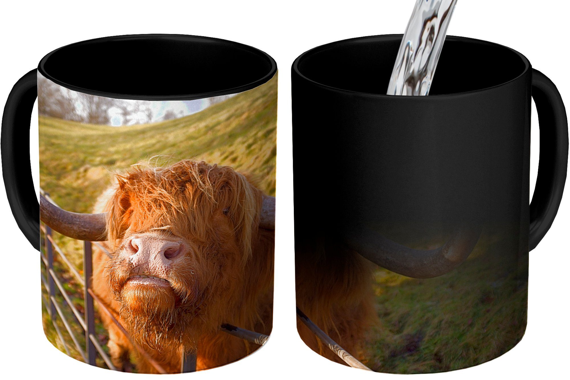MuchoWow Tasse Scottish Highlander - Kaffeetassen, Keramik, Teetasse, Zaun - Geschenk Farbwechsel, Gras, Zaubertasse