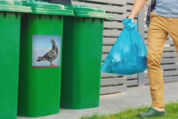 MuchoWow Wandsticker Eine schöne Taube sitzt auf einer Mauer am Meer (1 St), Mülleimer-aufkleber, Mülltonne, Sticker, Container, Abfalbehälter