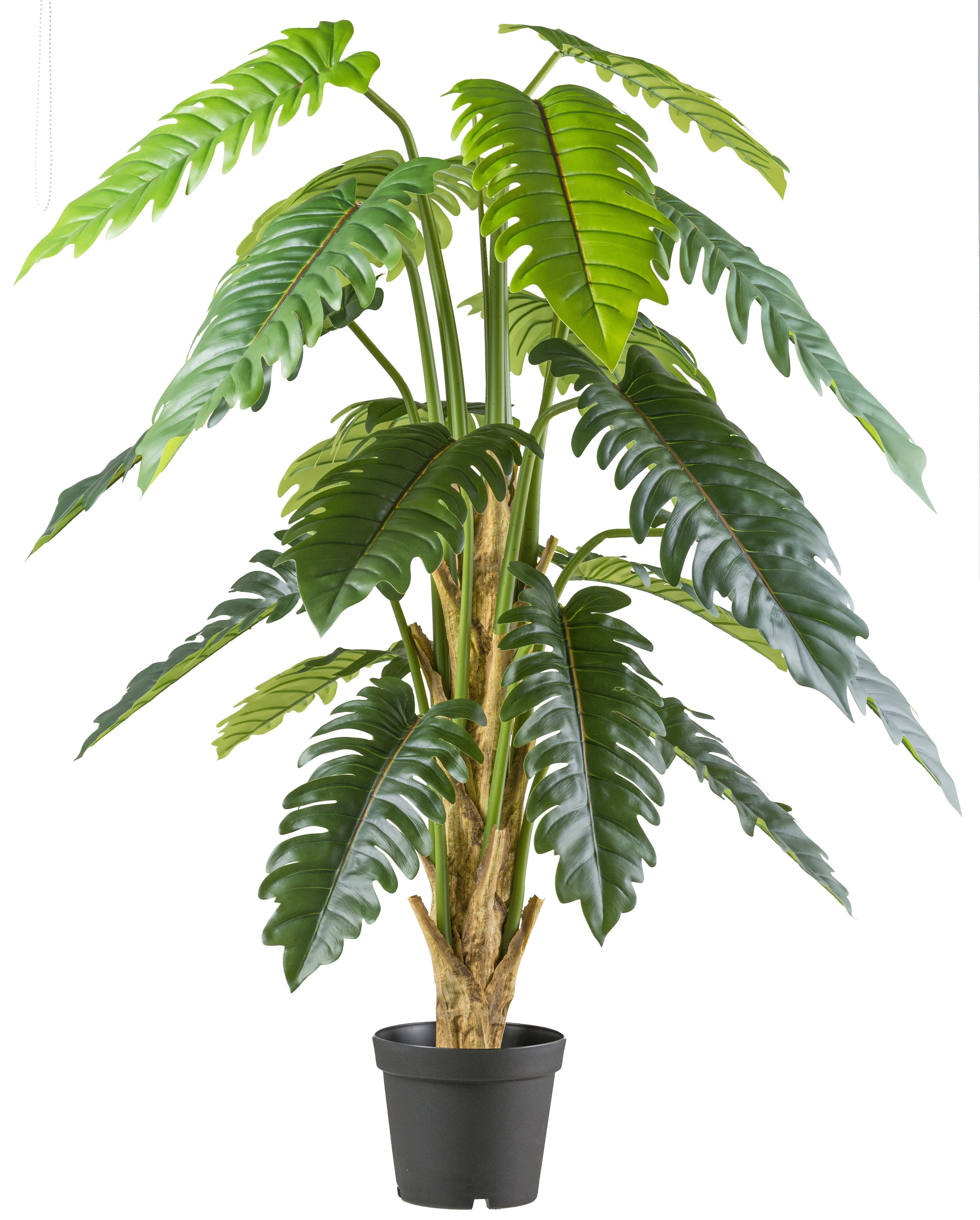 Kunstbaum Philodendron xanadu, Creativ green, Höhe günstig online kaufen