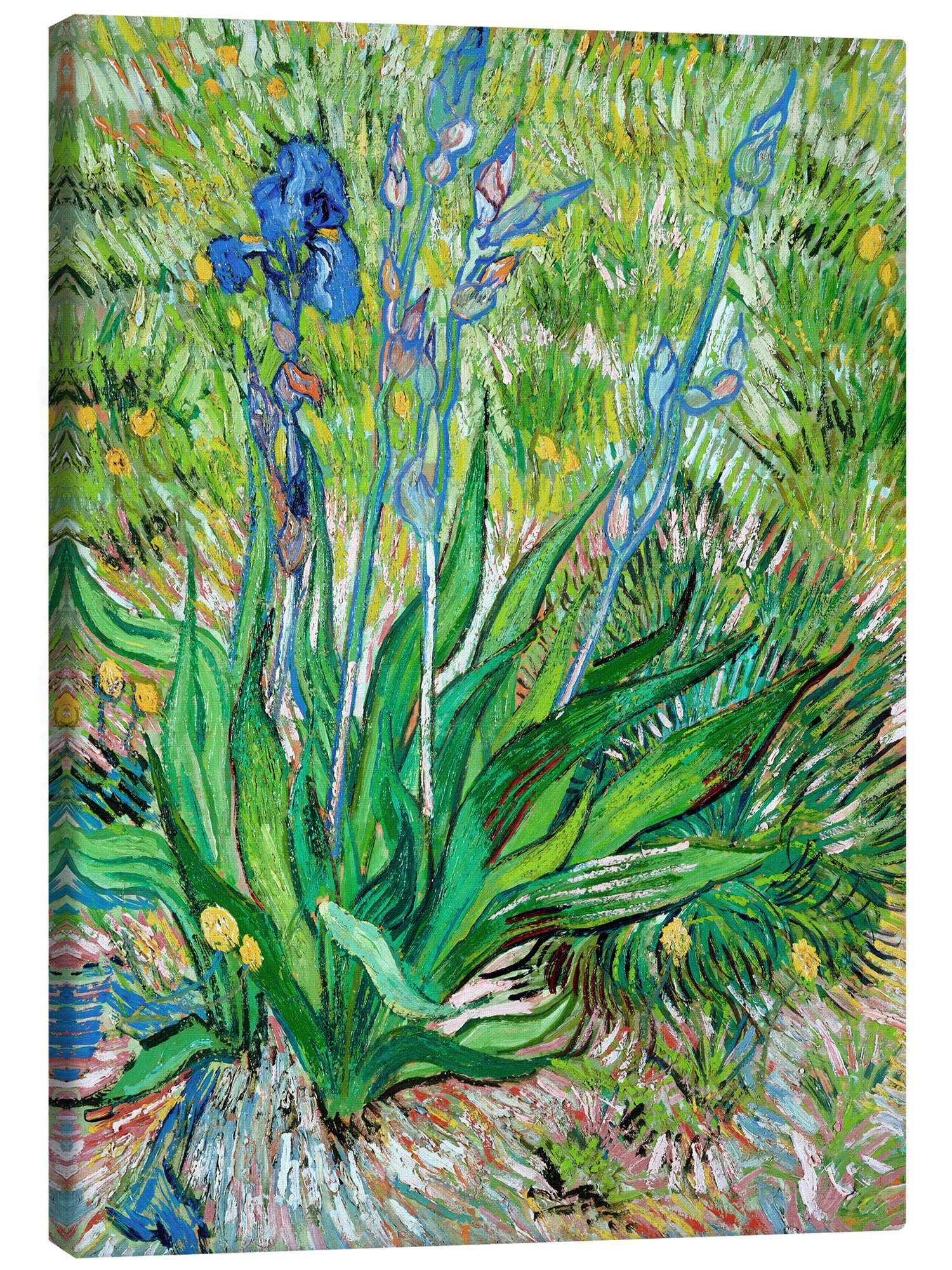 Leinwandbild Vincent van Gogh