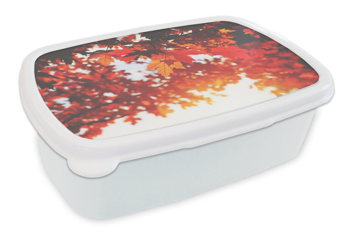 Kunststoff, Erwachsene, - - Mädchen Brotbox (2-tlg), und für Herbstliche Blätter Lunchbox Kinder Rustikale Brotdose, Sonne, MuchoWow für Dekoration und weiß Jungs