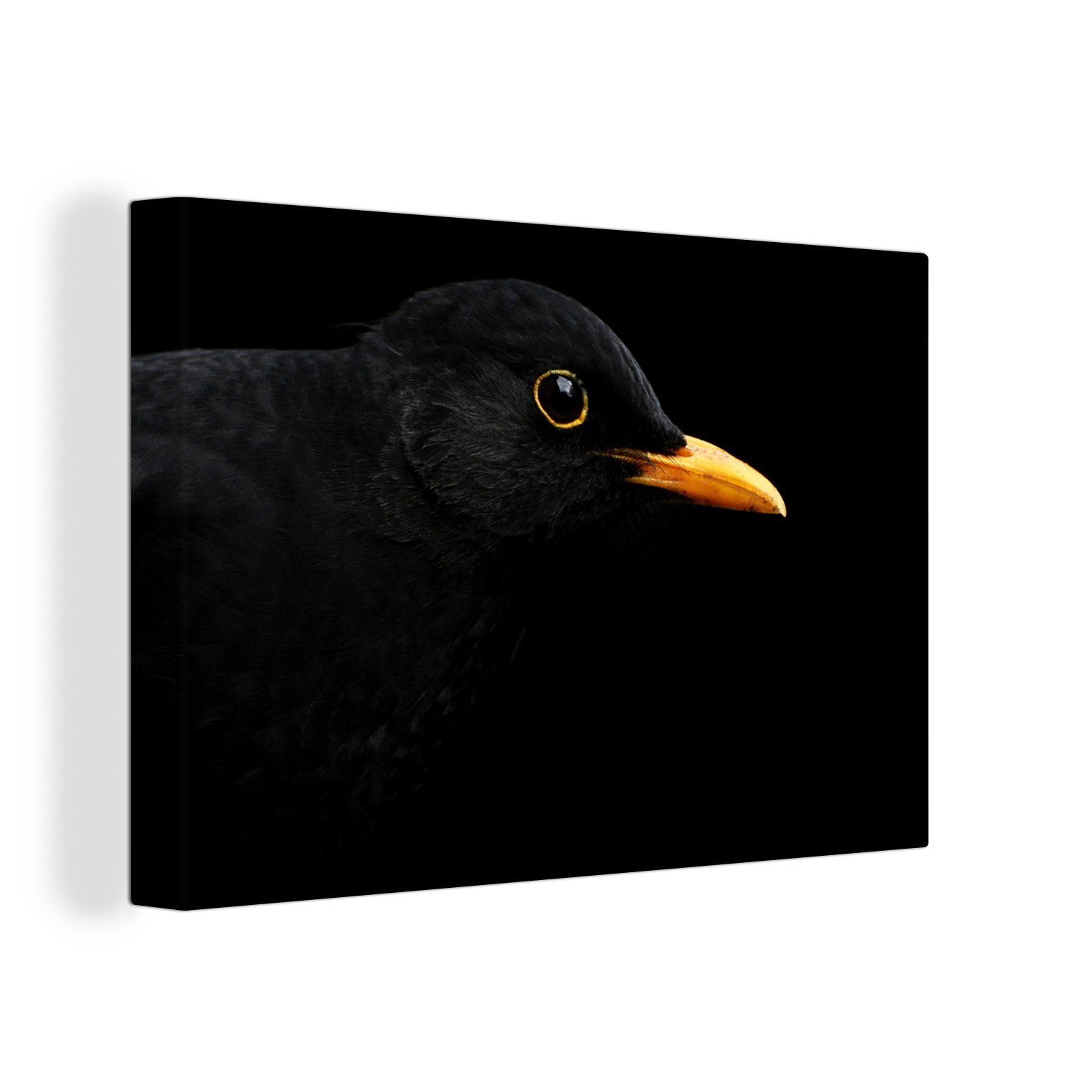 OneMillionCanvasses® Leinwandbild Schwarze Amsel auf dunklem Hintergrund, (1 St), Wandbild Leinwandbilder, Aufhängefertig, Wanddeko, 30x20 cm