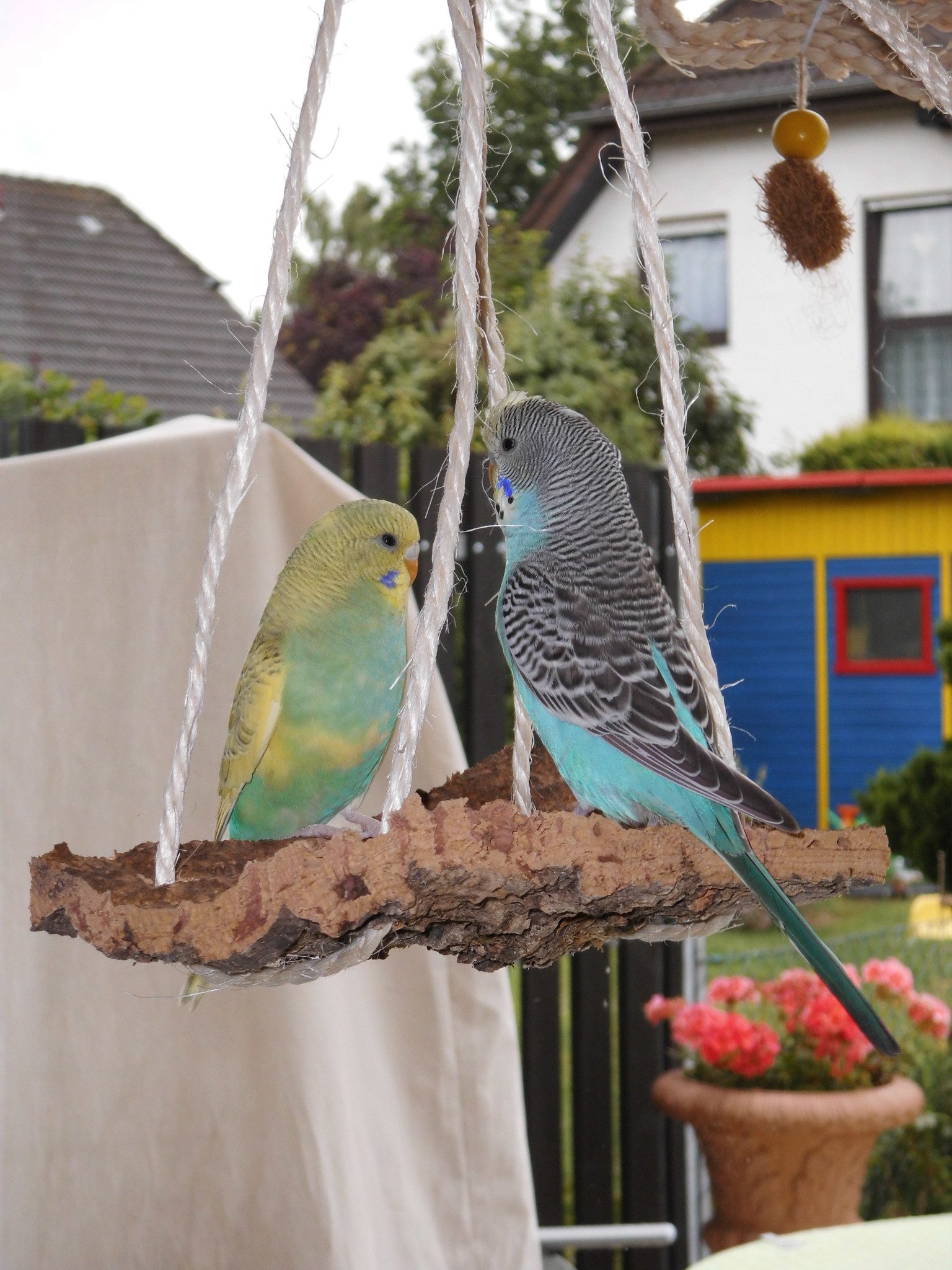 halmland Vogelspielplatz Korkschaukel Wellensittich Vogelschaukel aus Kork Vogelzubehör