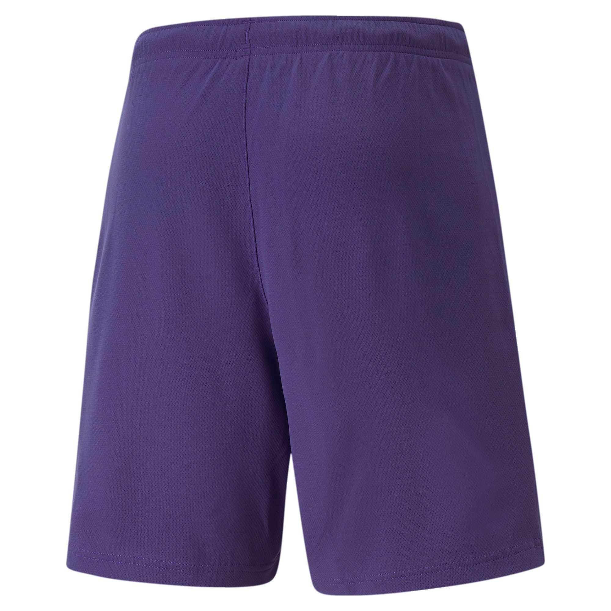 PUMA Trainingsshorts Puma Herren Shorts teamRISE günstig online kaufen