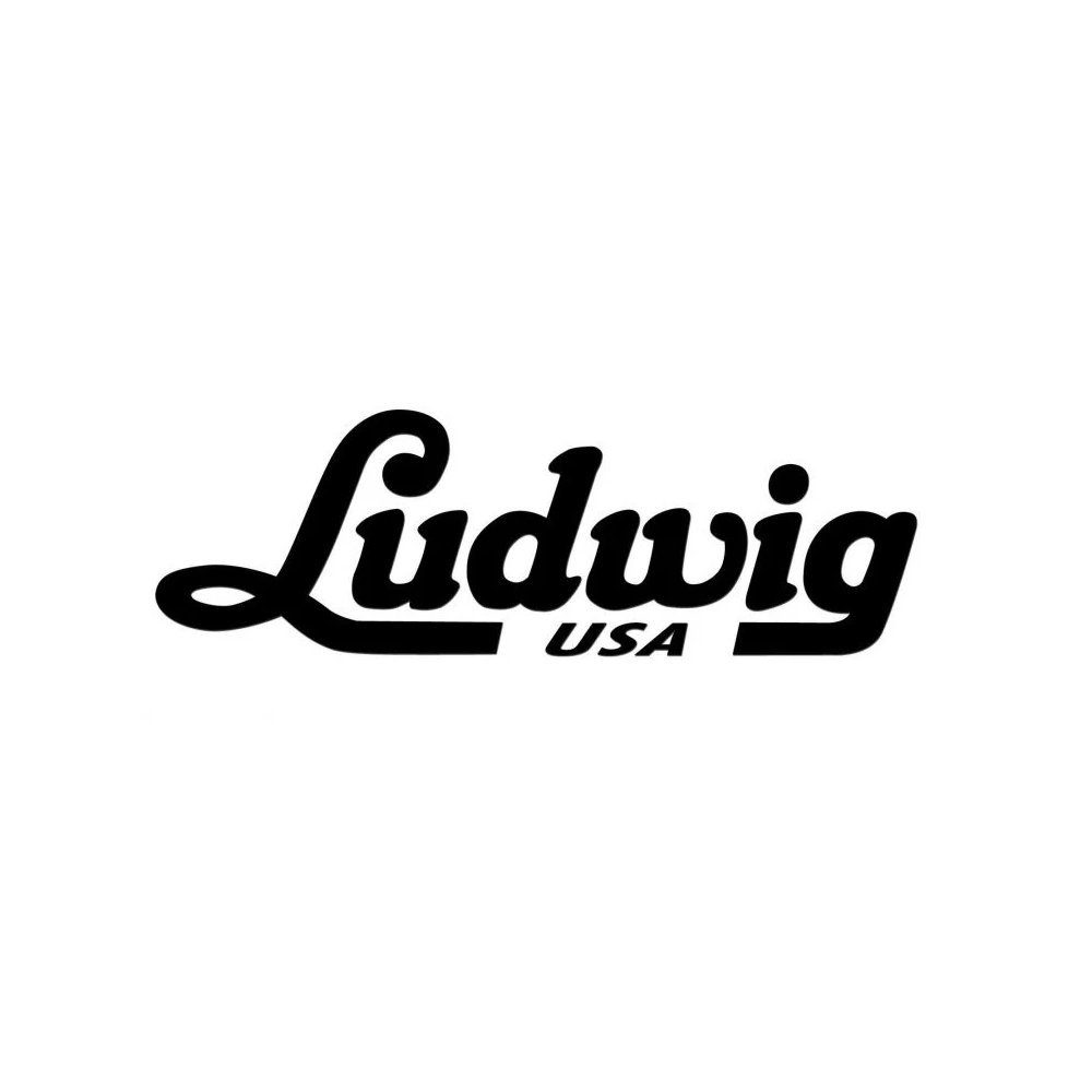 Ludwig