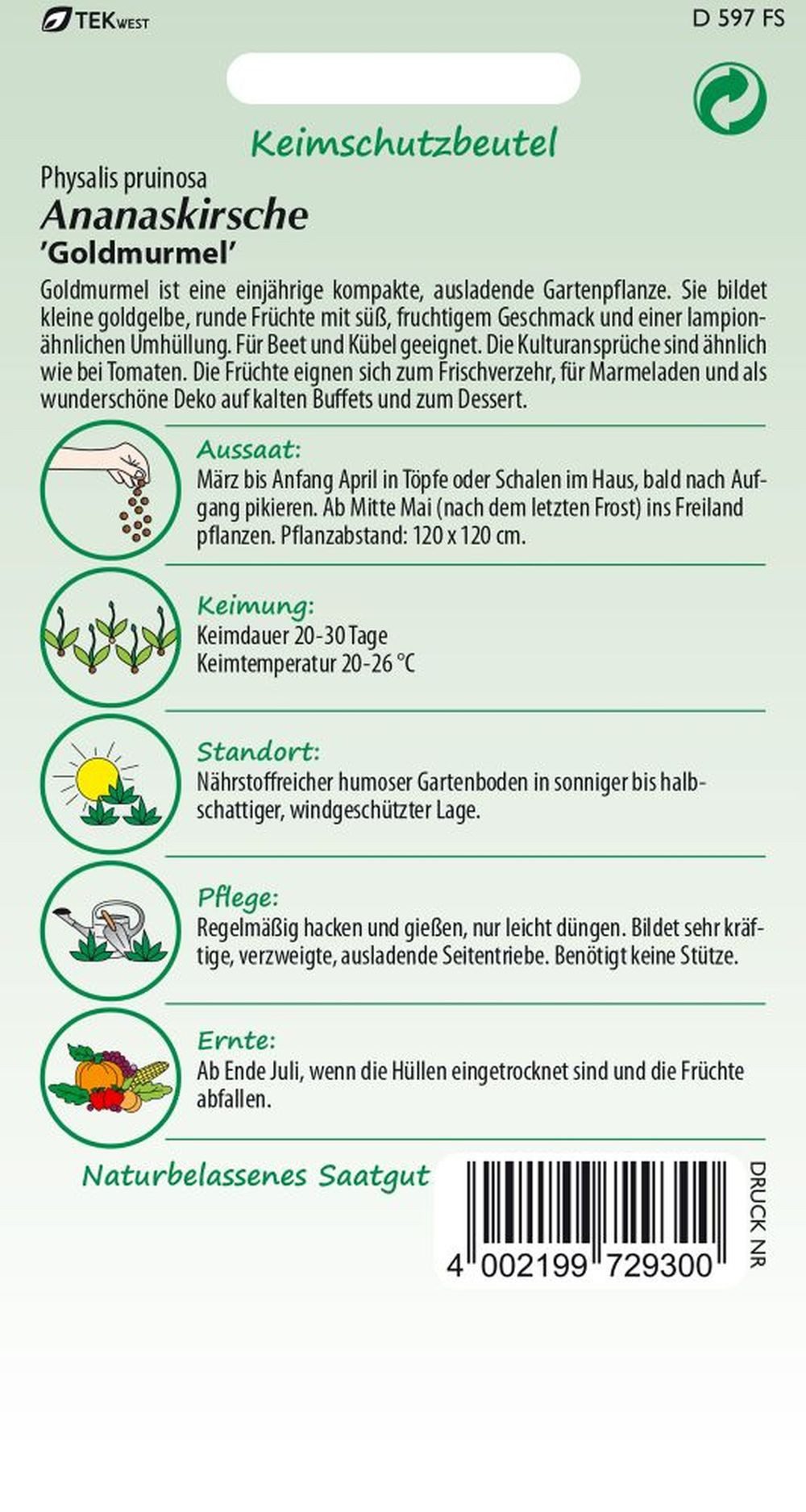 SAMEN PFANN Gemüsesamen Physalis, Goldmurmel - Saatgut Samen, Physalis pruinosa, var. Goldmurmel