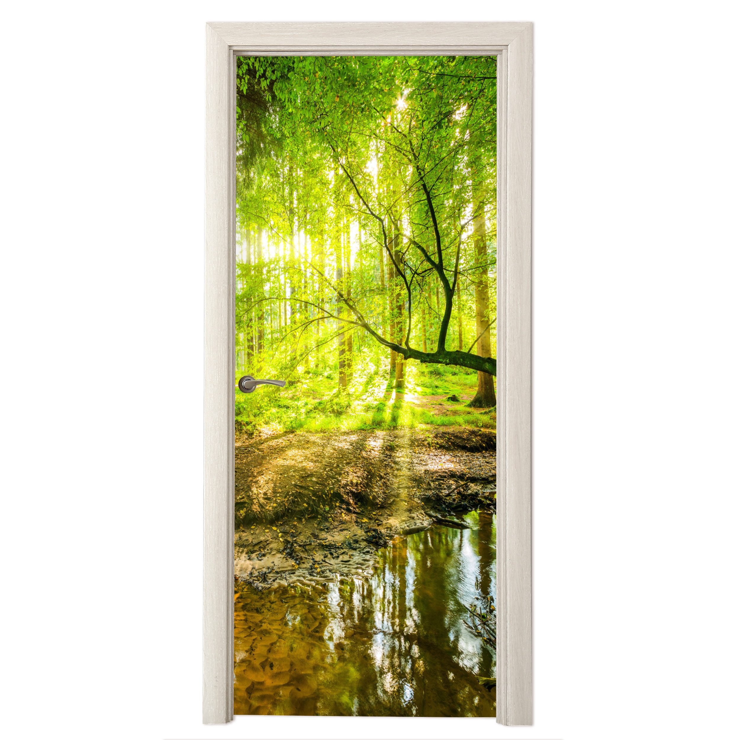 MuchoWow Türtapete Wald - Landschaft - Wasser - Bäume - Sonne - Grün - Natur, Matt, bedruckt, (1 St), Selbstklebende Tapete, Folie für Möbel, 75x205 cm