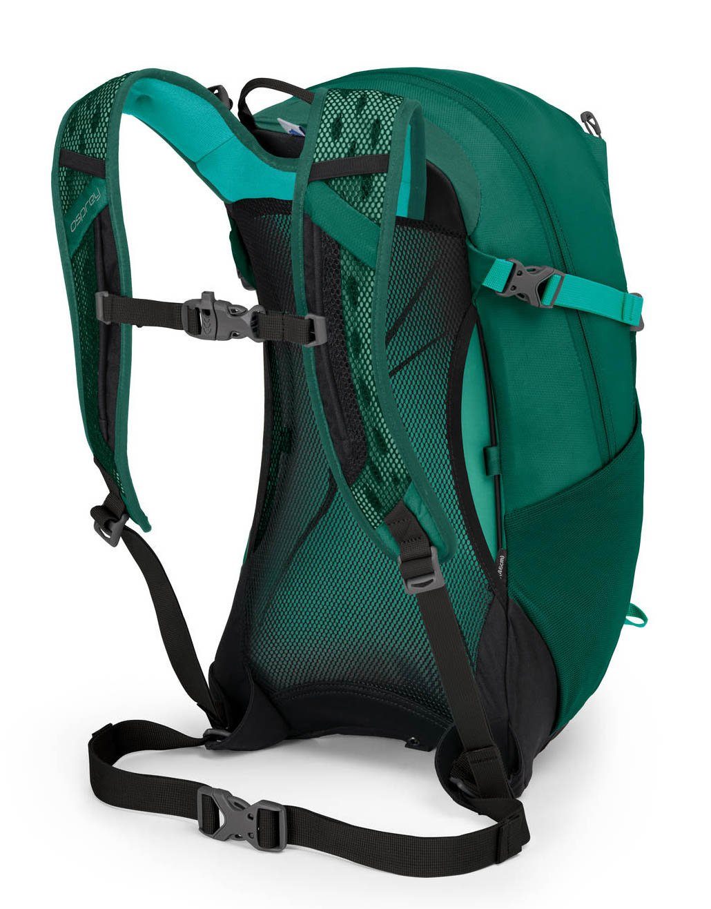 Green Aloe Osprey Rucksack