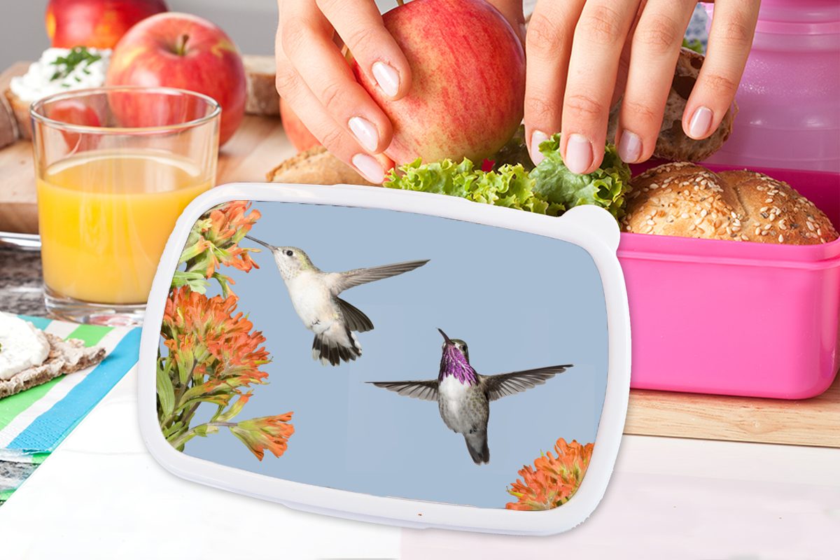 Snackbox, Brotdose Vögel, - Kinder, Lunchbox für Kunststoff MuchoWow Erwachsene, - Brotbox rosa Kunststoff, (2-tlg), Kolibri Mädchen, Blumen