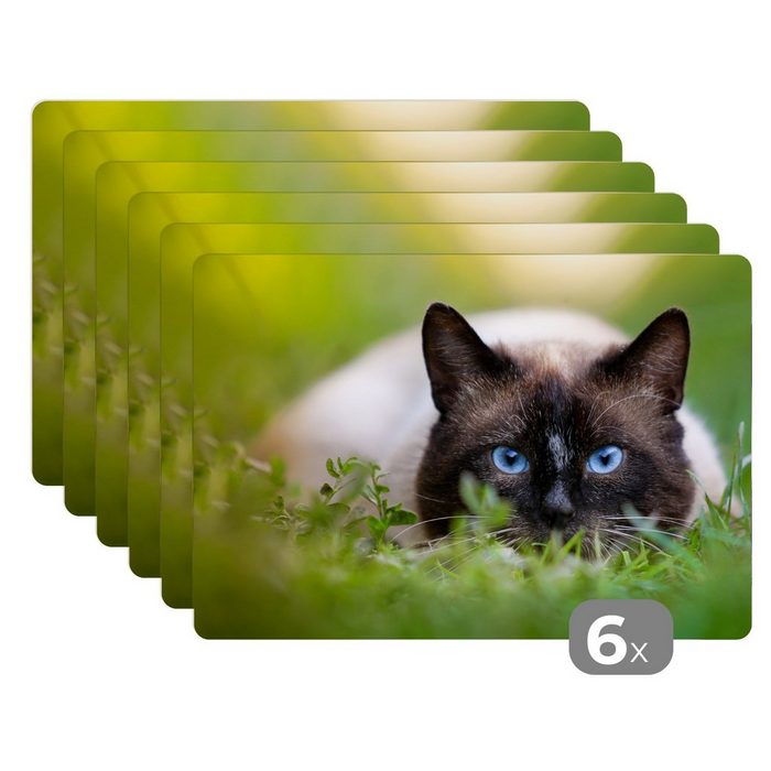 Platzset Katze - Gras - Porträt MuchoWow (6-St) Platzset Platzdecken Platzmatte Tischmatten Schmutzabweisend